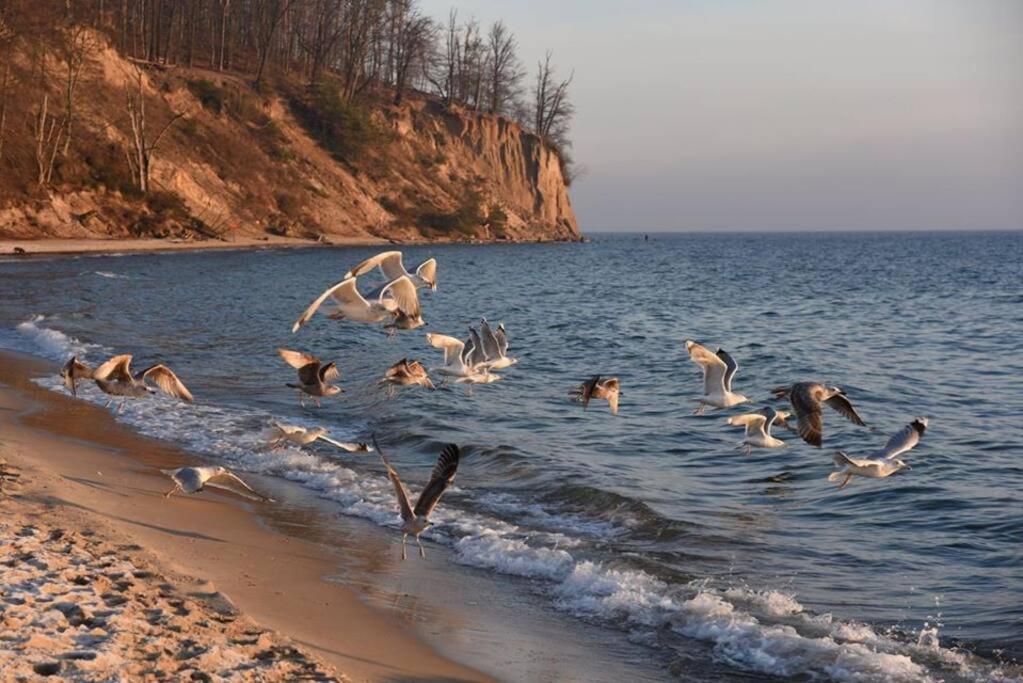 Chata Rybacka W Orlowie / Apartament Gdynia Dış mekan fotoğraf